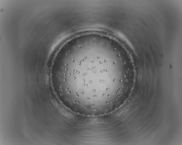 X0000074331360200609082022