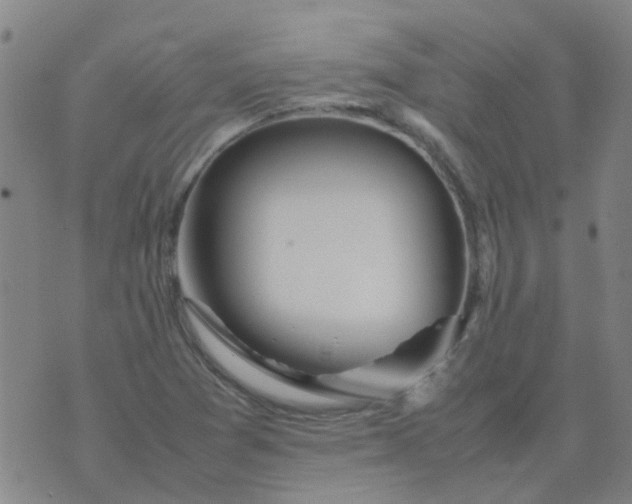 X0000074331361200609082022