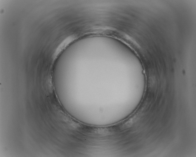 X0000074331362200609082022