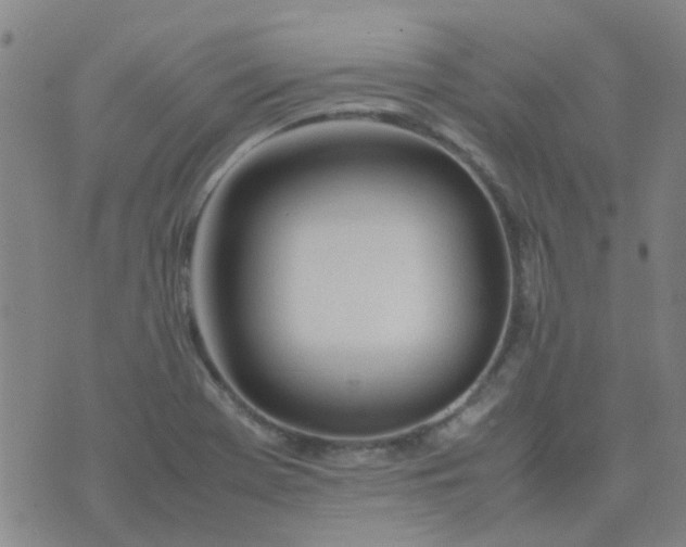 X0000074331369200609082021