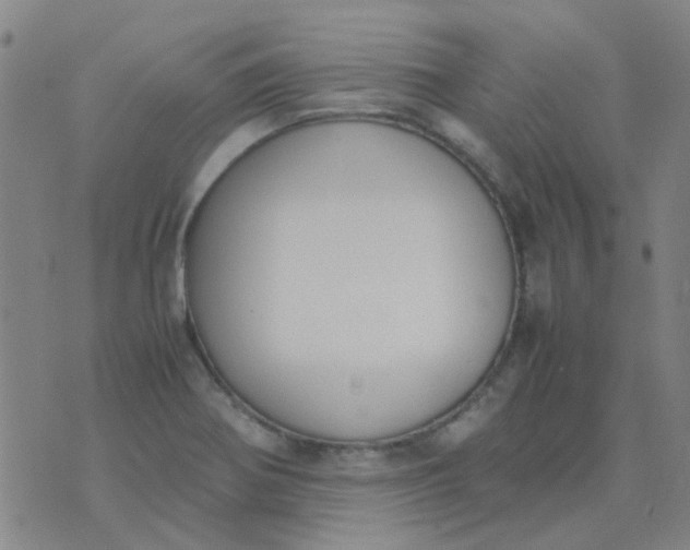 X0000074331370200609082021