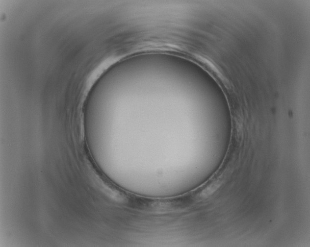 X0000074331371200609082021