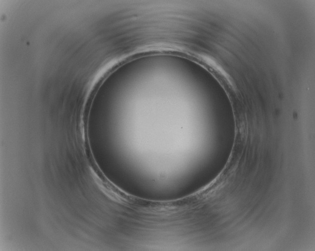 X0000074331372200609082021