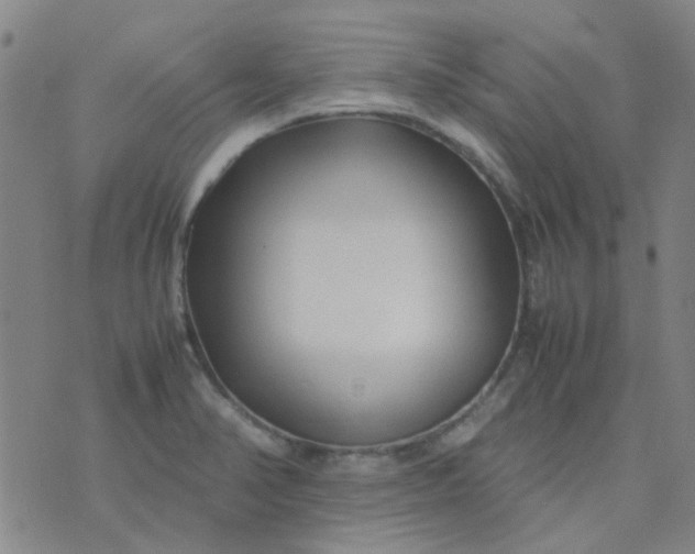 X0000074331374200609082021