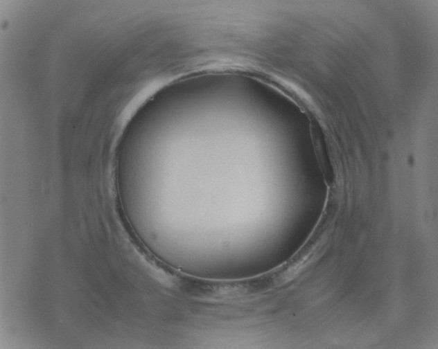 X0000074331375200609082021