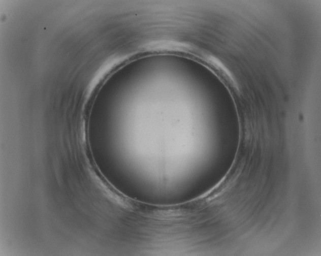 X0000074331376200609082021