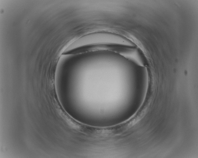 X0000074331377200609082021