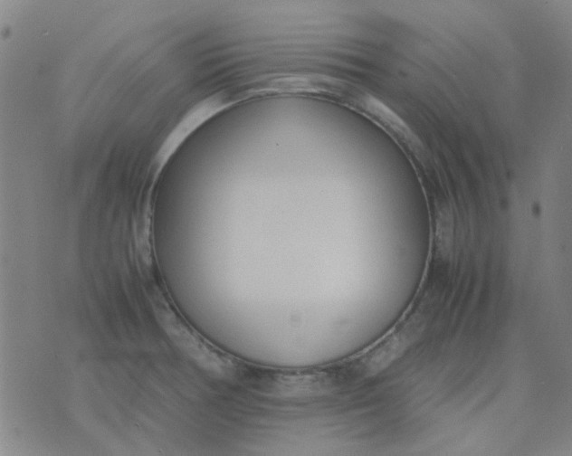 X0000074331378200609082021