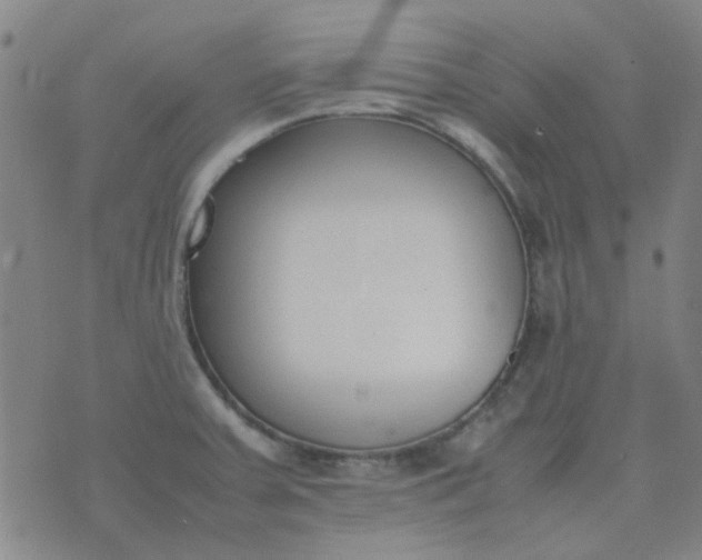 X0000074331379200609082021