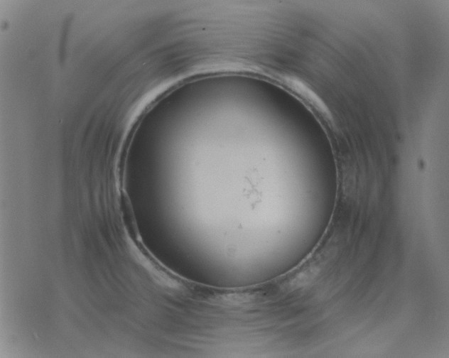 X0000074331380200609082021