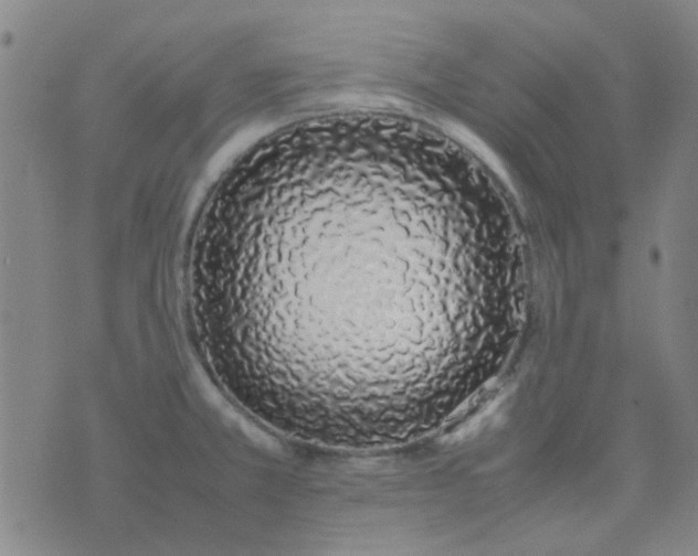 X0000074331381200609082021