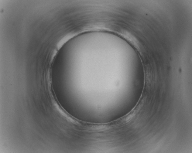 X0000074331382200609082021