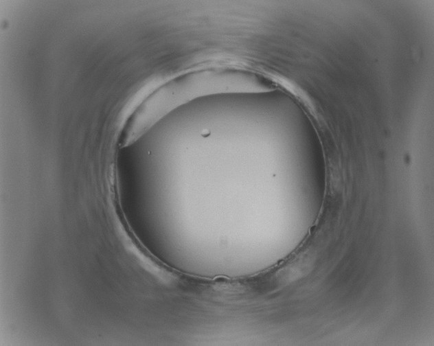 X0000074331383200609082021