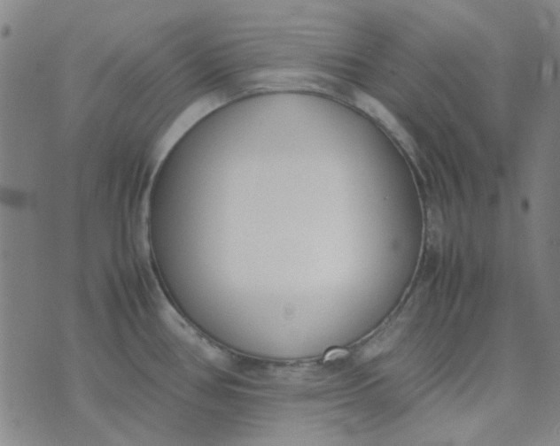 X0000074331386200609082021