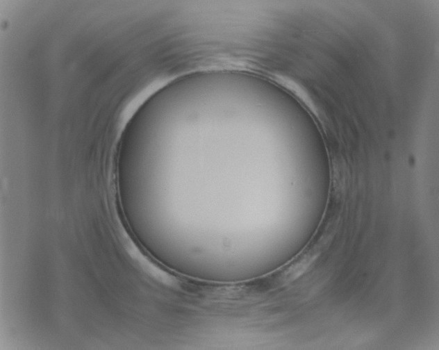 X0000074331387200609082021