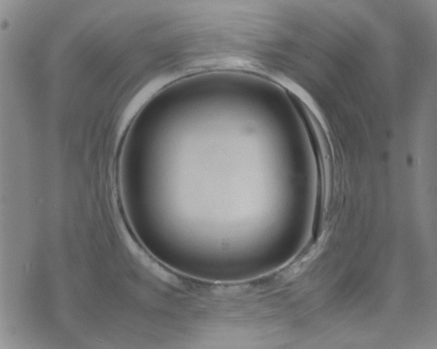 X0000074331389200609082021