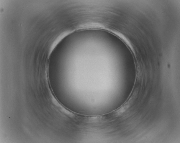 X0000074331390200609082021