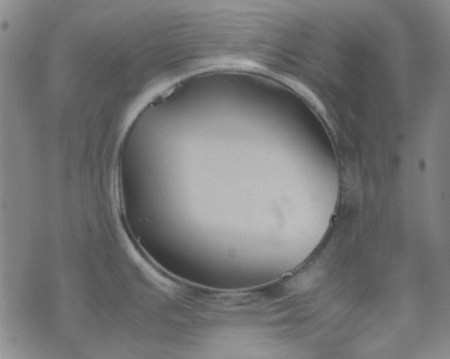 X0000074331391200609082021