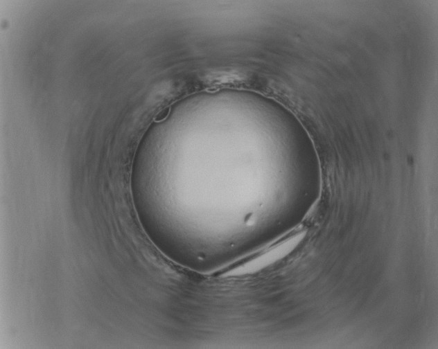 X0000074331393200609082020