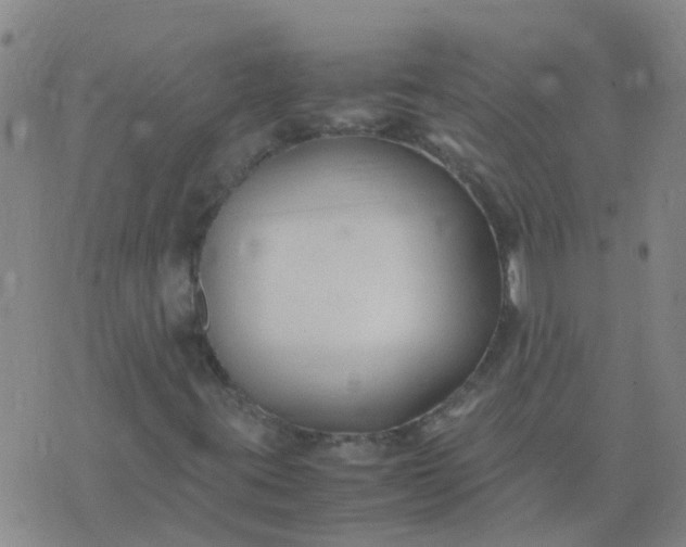 X0000074331395200609082020