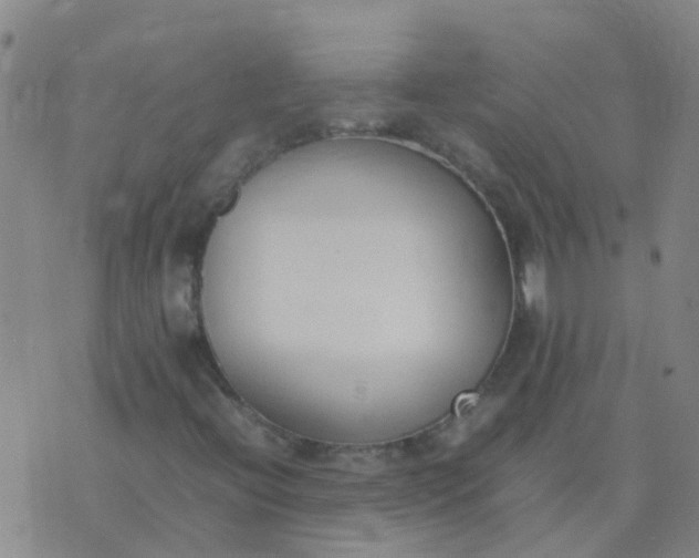 X0000074331396200609082020