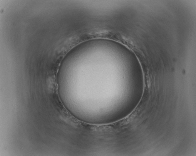 X0000074331397200609082020