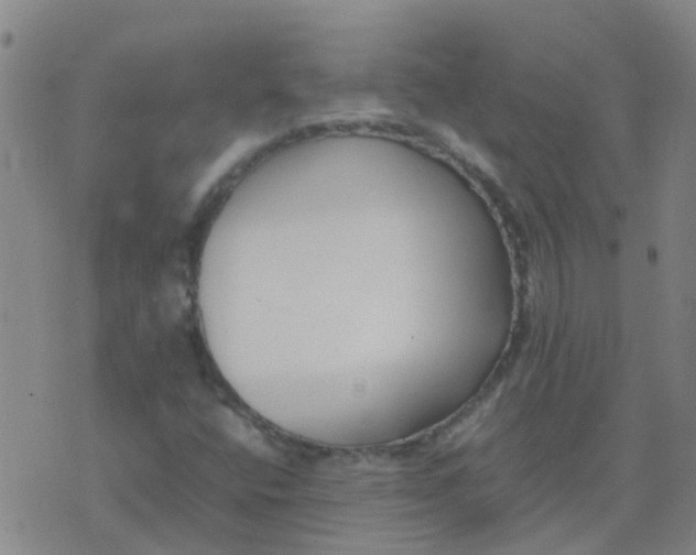 X0000074331400200609082020