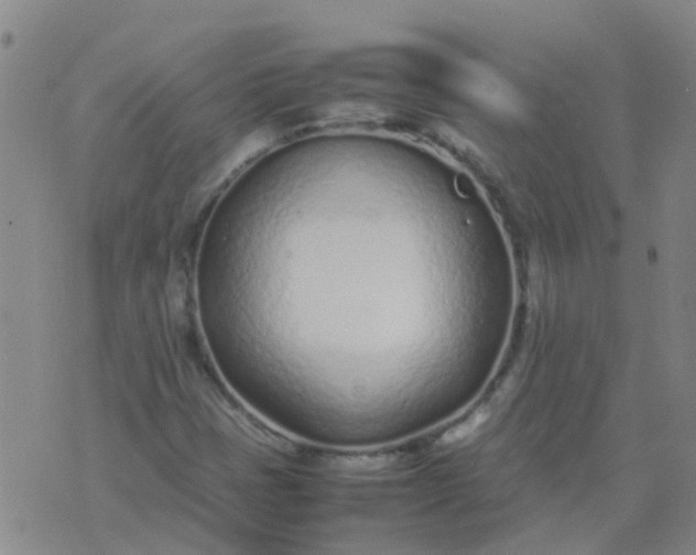 X0000074331401200609082020