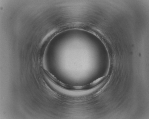 X0000074331402200609082020