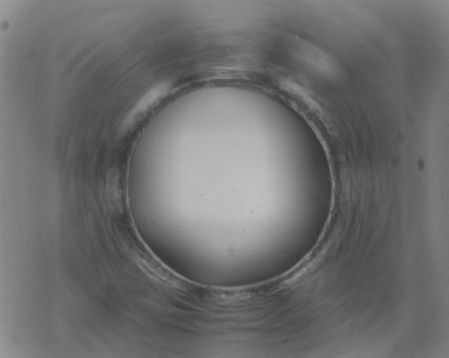 X0000074331403200609082020