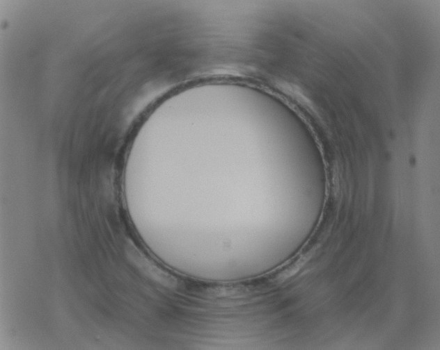 X0000074331404200609082020