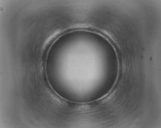 X0000074331406200609082020