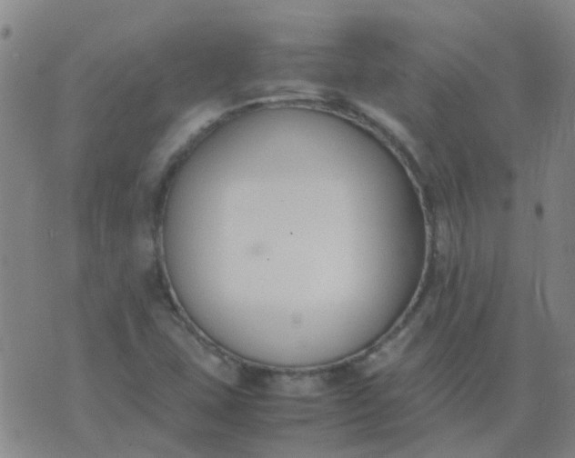 X0000074331407200609082020