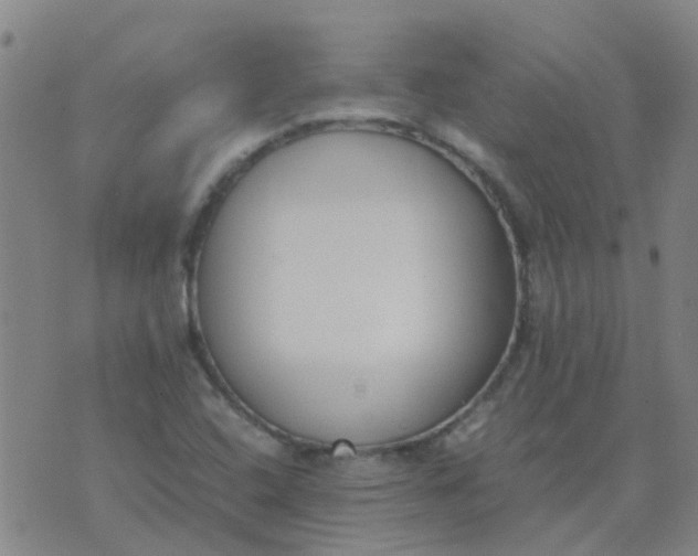 X0000074331408200609082020