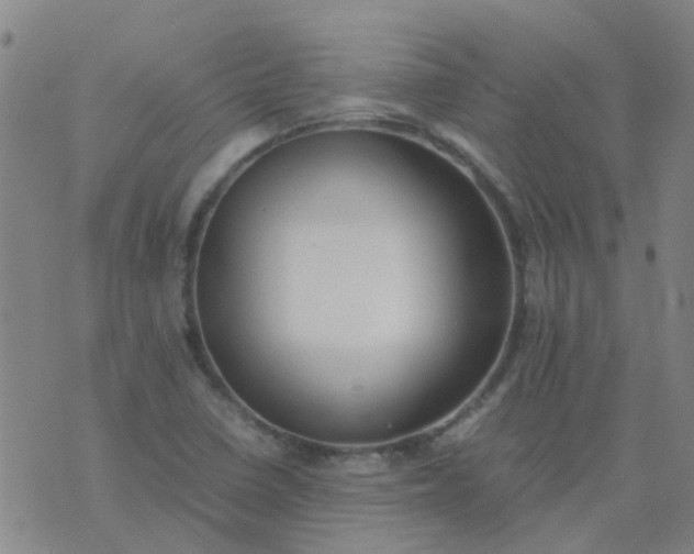 X0000074331410200609082021