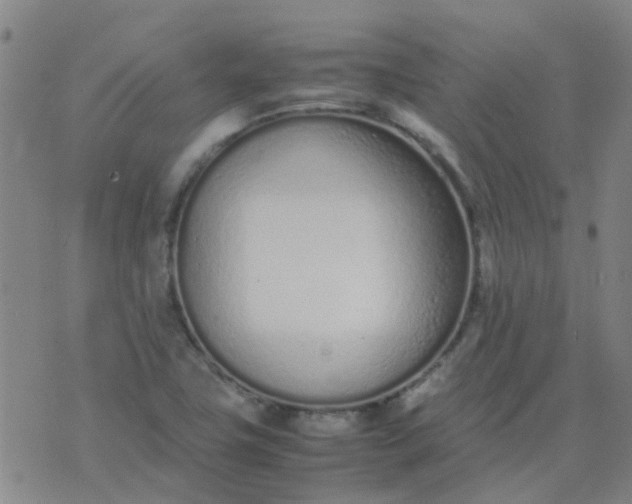 X0000074331411200609082021