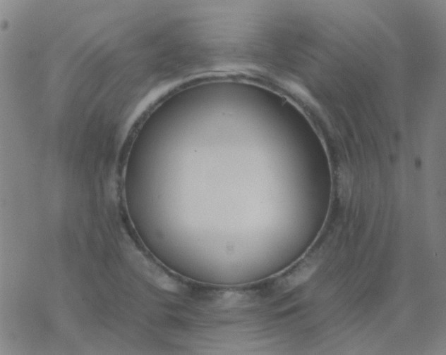 X0000074331412200609082021