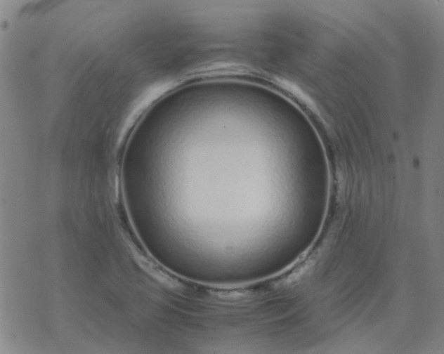 X0000074331413200609082021