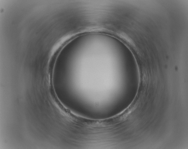 X0000074331414200609082021