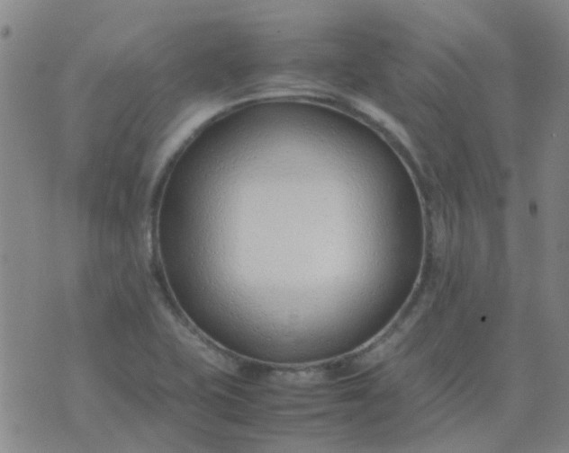 X0000074331415200609082021