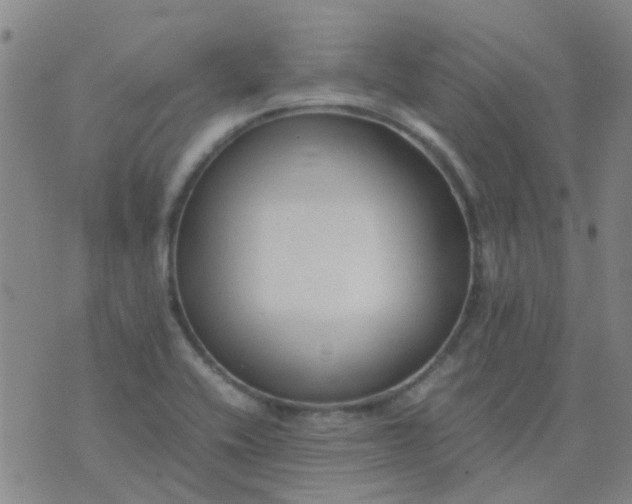 X0000074331416200609082021