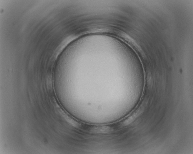 X0000074331417200609082021