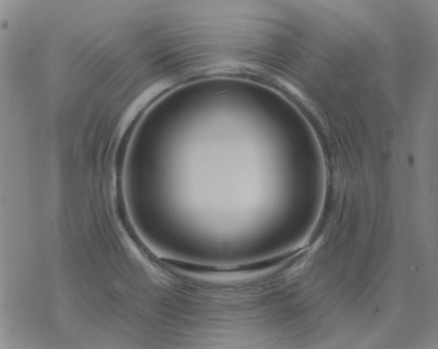 X0000074331418200609082021