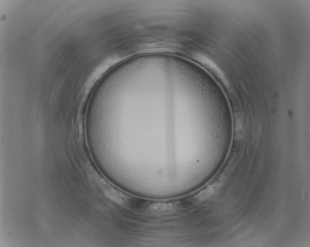 X0000074331419200609082021