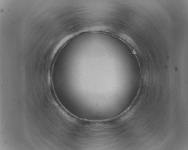 X0000074331420200609082021