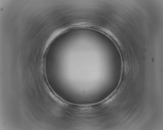 X0000074331421200609082021