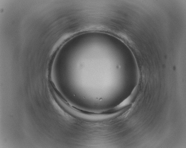 X0000074331422200609082021