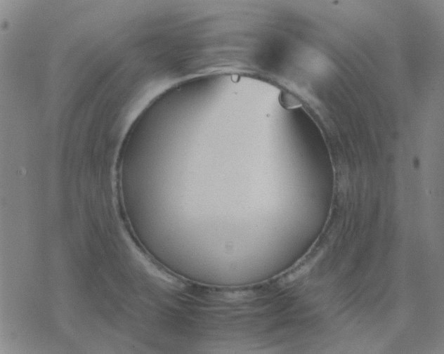 X0000074331423200609082021