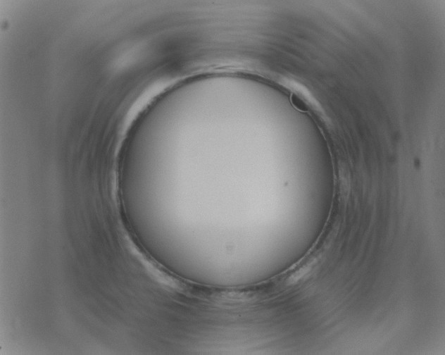 X0000074331424200609082021