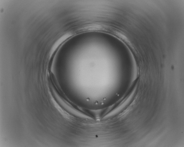 X0000074331426200609082021